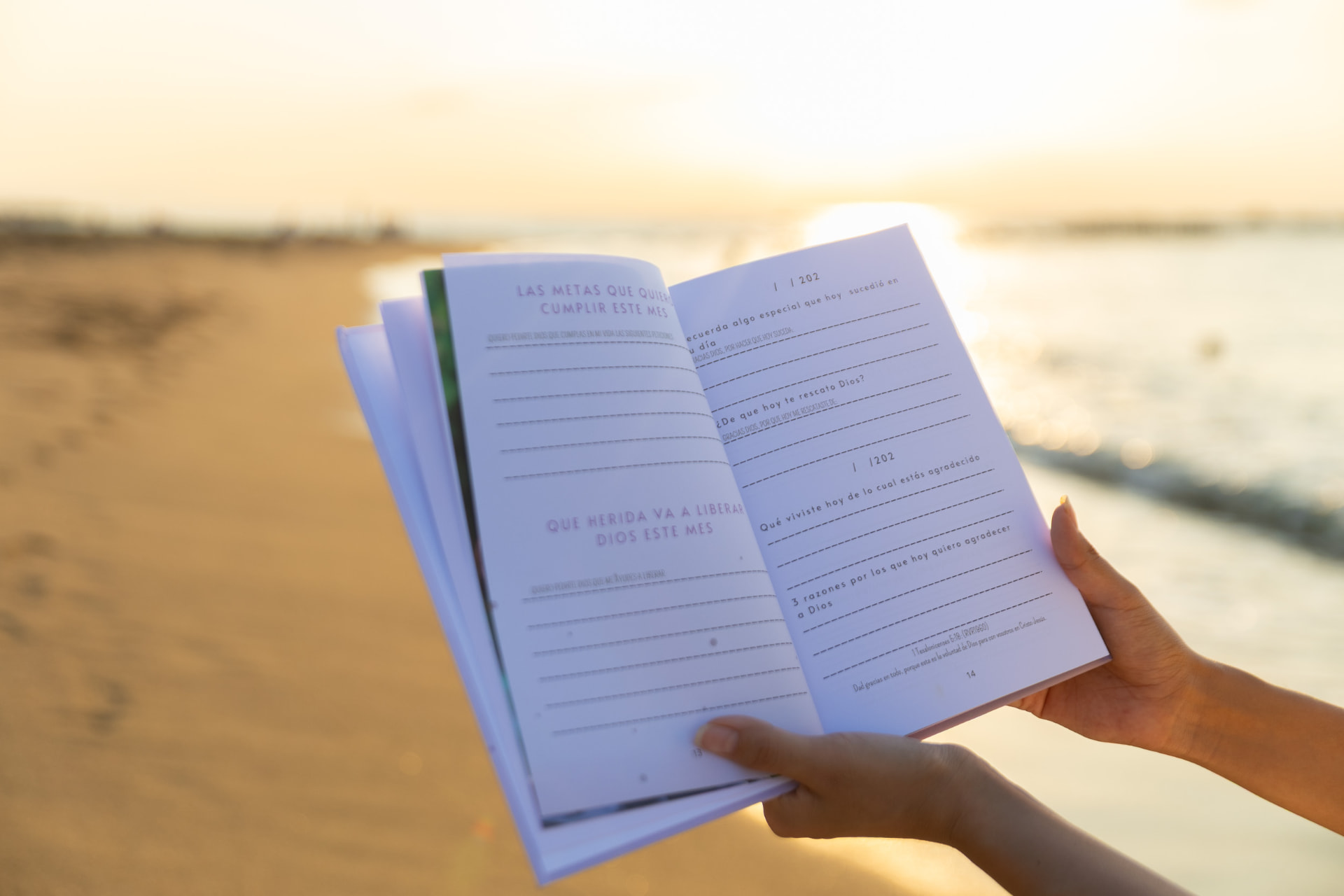 Páginas interiores del diario con espacio para escribir